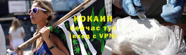 соль ск Алзамай