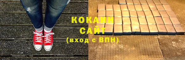 соль ск Алзамай