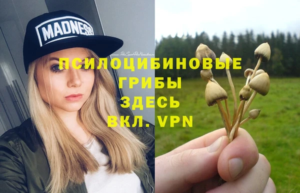 соль ск Алзамай