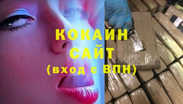 соль ск Алзамай