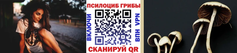 Псилоцибиновые грибы мухоморы  kraken ONION  Стародуб 